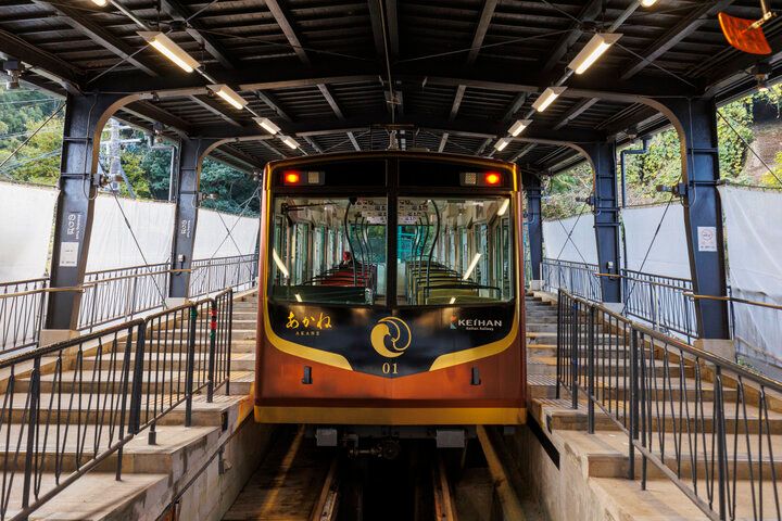 京都・八幡市 背割堤のどこまでも続く桜並木をおさんぽ♪ ご利益めぐりや門前菓子も