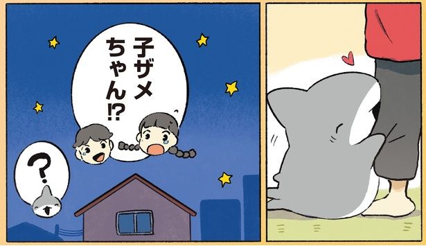 子ザメちゃん!? （C）ペンギンボックス／KADOKAWA