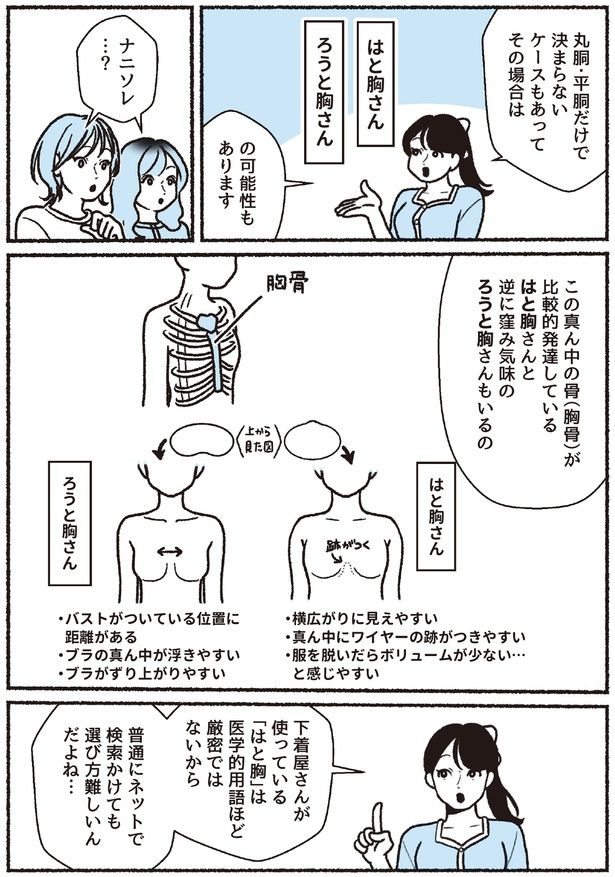 はと胸さんとろうと胸さん (C)ちーちょろす、oomisoka1231／KADOKAWA