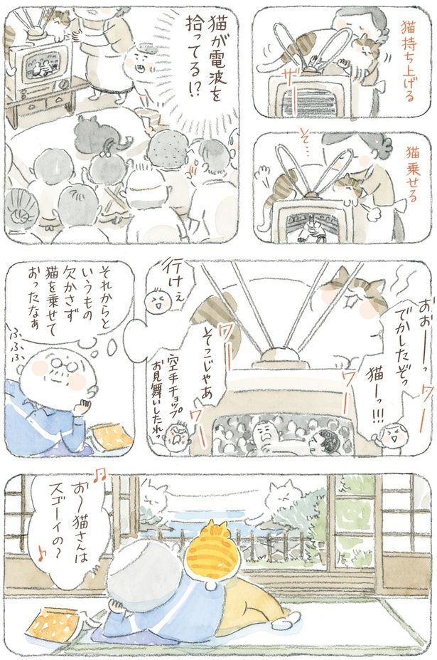 猫が電波を拾ってる！？ （C）ねこまき(ミューズワーク)／KADOKAWA