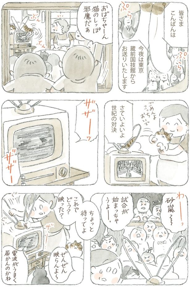 猫のしっぽ邪魔だぁ （C）ねこまき(ミューズワーク)／KADOKAWA