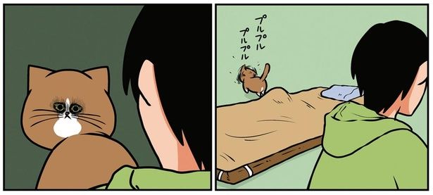 睨 （C）鴻池剛／KADOKAWA