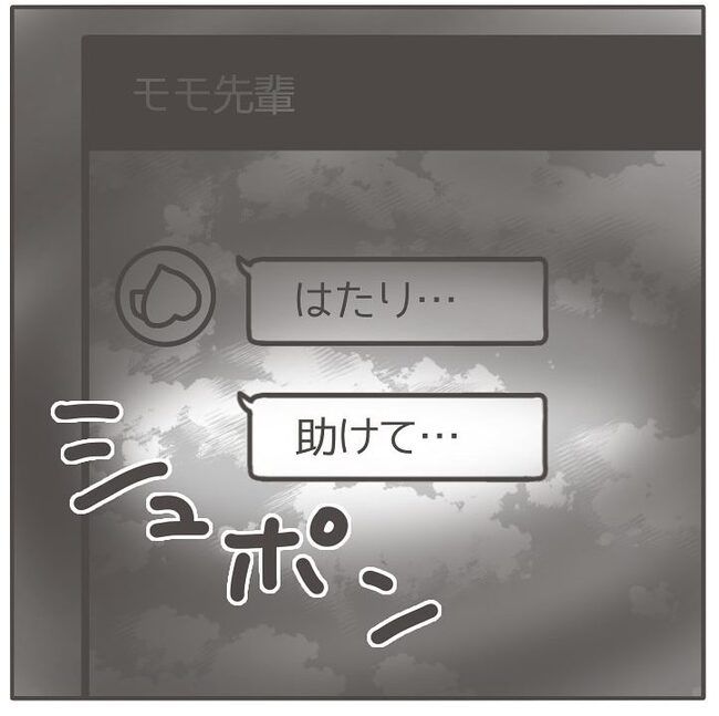 憧れの人の本性／カカオ