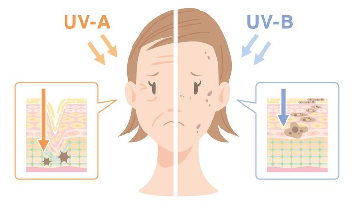 UVBとUVA