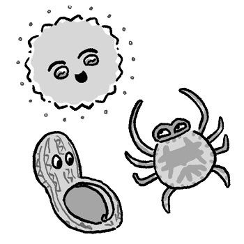 【子どものアレルギー】実は空気中にはアレルギーの原因物質がいっぱい漂っている!? アレルギー予防は毎日のスキンケアからの画像4