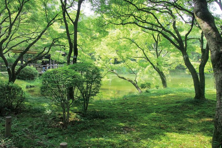 京都〈京都府立植物園〉園内