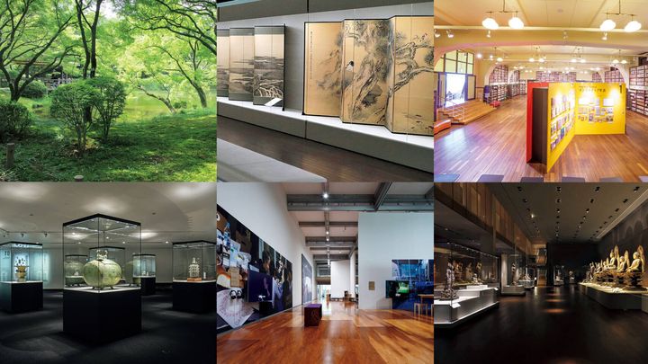 京都〈京都府立植物園〉園内、〈泉屋博古館〉館内、〈白沙村荘 橋本関雪記念館〉1階展示室、〈京都市立芸術大学ギャラリー@KCUA〉館内、〈京都国際マンガミュージアム〉内観、〈京都国立博物館〉館内