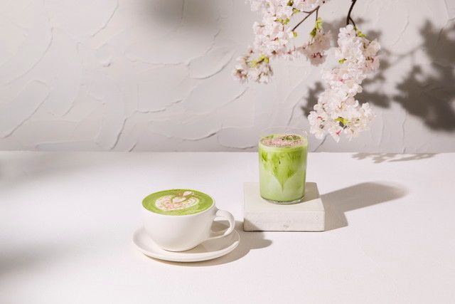 抹茶チェリーブロッサムラテ ホット＆アイス