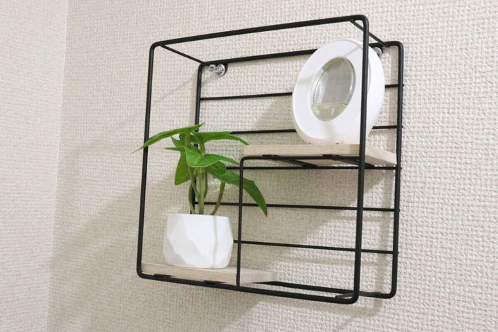 ダイソー グリーンポット ウォールシェルフ