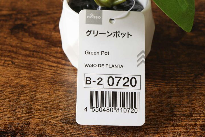 ダイソー グリーンポット アイビー