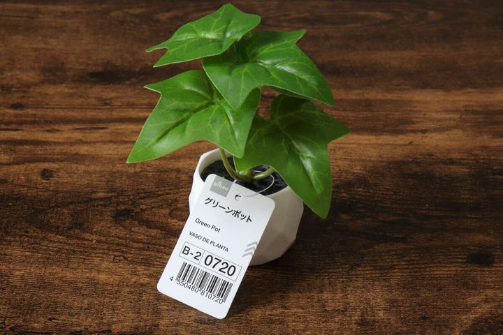 ダイソー グリーンポット