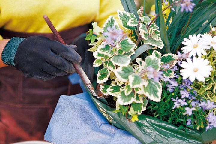 ビニール袋を引っ張りながら、バスケットの内周や苗の間を棒でよく突き、すき間がないように培養土を足す。