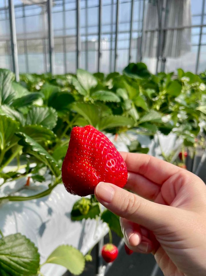 鈴木恵さん3月ブログ③