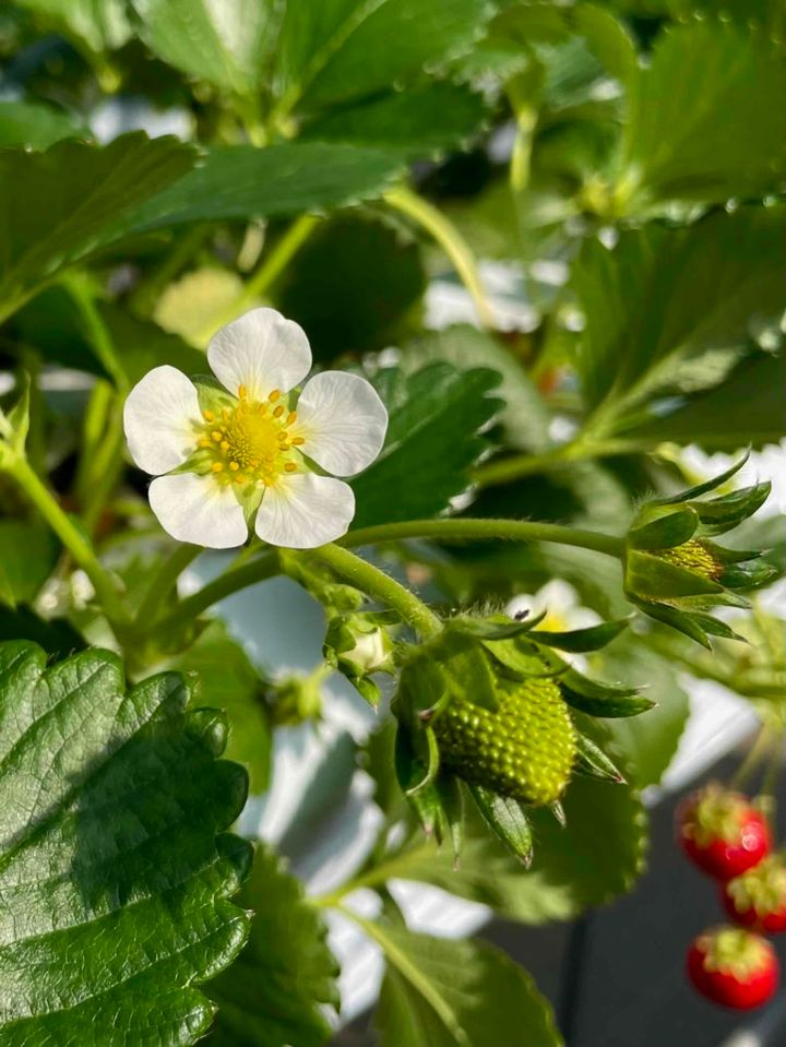 鈴木恵さん3月ブログ⑤