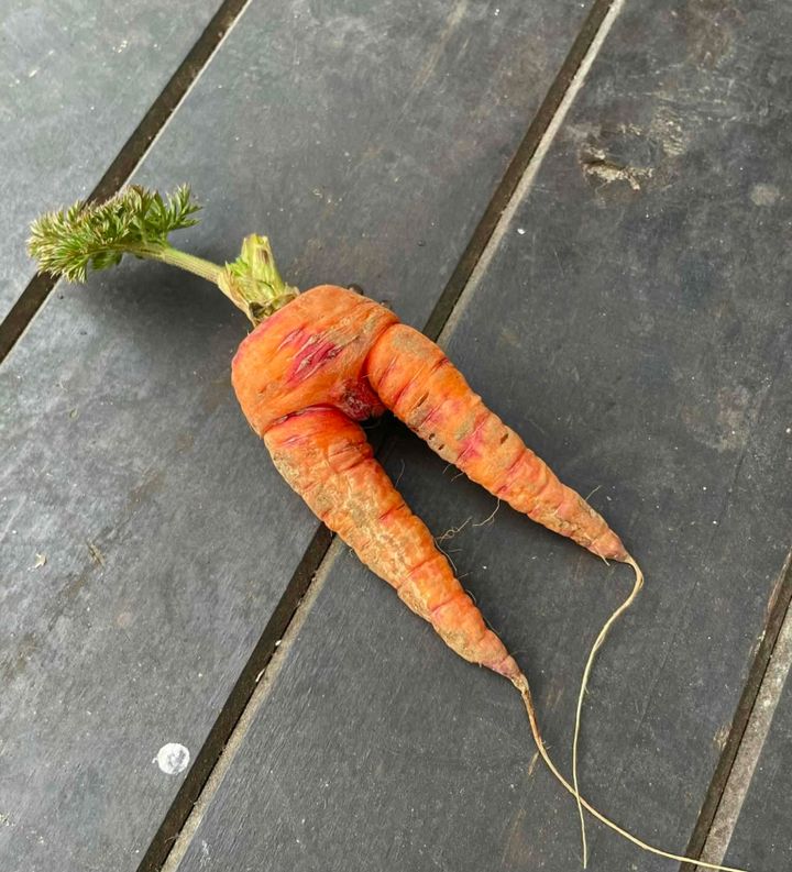 鈴木恵さん3月ブログ⑧