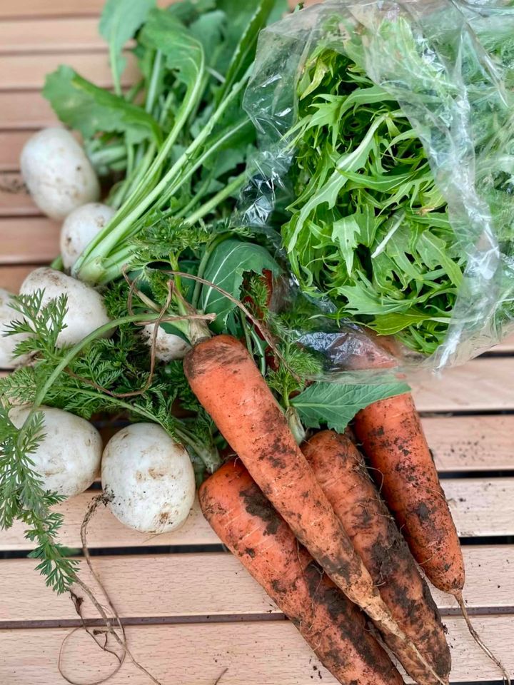 鈴木恵さん3月ブログ⑦