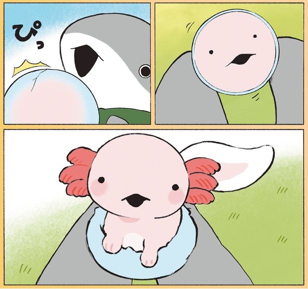 殻が割れて… （C）ペンギンボックス／KADOKAWA