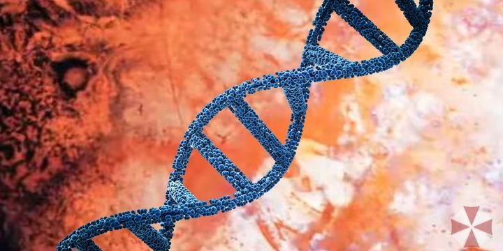 記憶は注射できるのか？ アメフラシが見せた衝撃