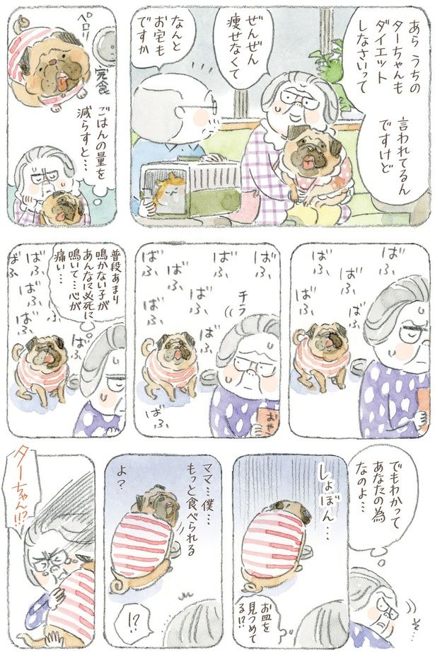 ごはんの量を減らすと… （C）ねこまき(ミューズワーク)／KADOKAWA