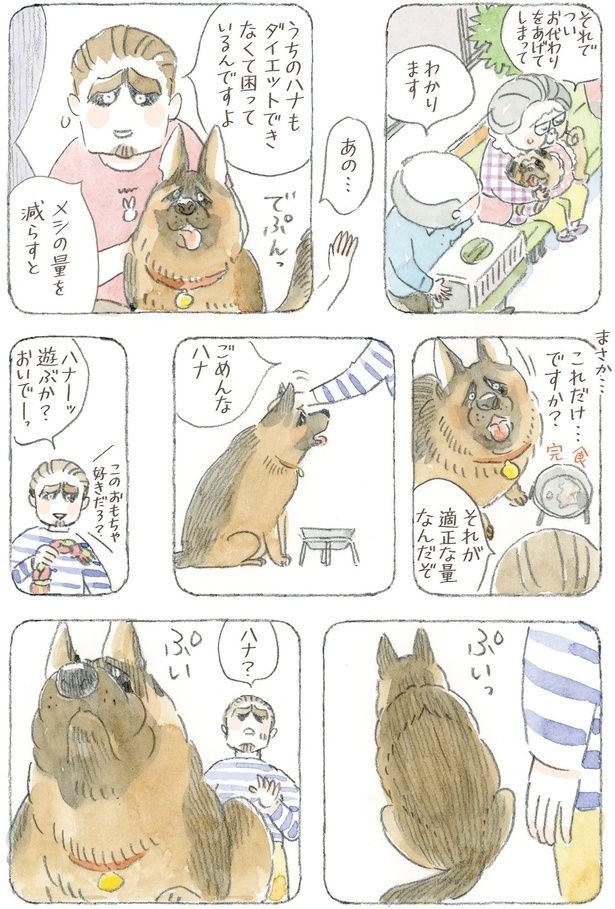 メシの量を減らすと （C）ねこまき(ミューズワーク)／KADOKAWA