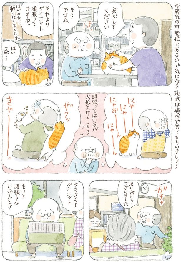 安心してください （C）ねこまき(ミューズワーク)／KADOKAWA
