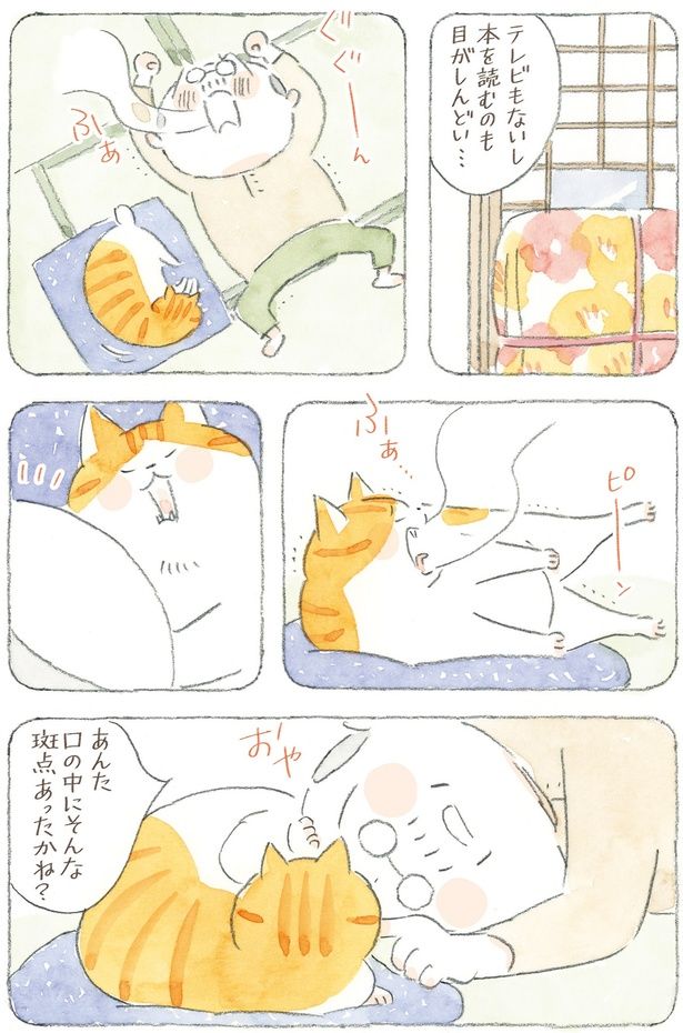 あんた口の中にそんな斑点あったかね？ （C）ねこまき(ミューズワーク)／KADOKAWA