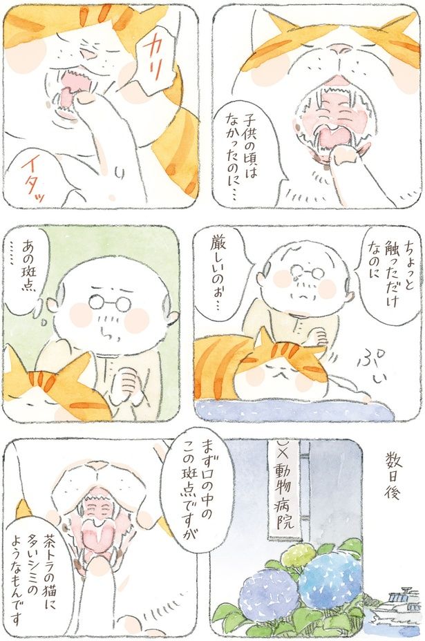 ちょっと触っただけなのに （C）ねこまき(ミューズワーク)／KADOKAWA