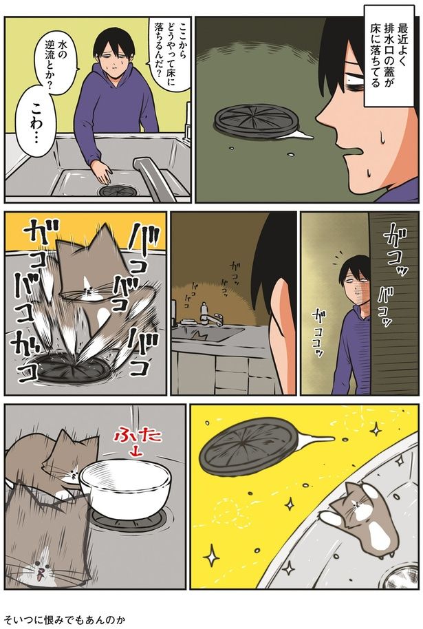 ここからどうやって床に落ちるんだ？ （C）鴻池剛／KADOKAWA