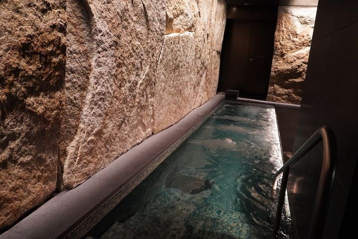 バイタリティプール