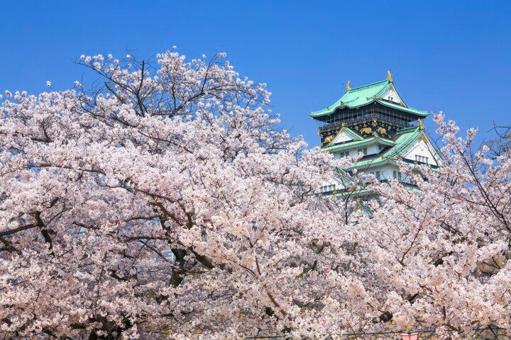 お花見がてら訪れたい♪桜の名所・大阪城公園内にある「goodspoonジョーテラス大阪店」
