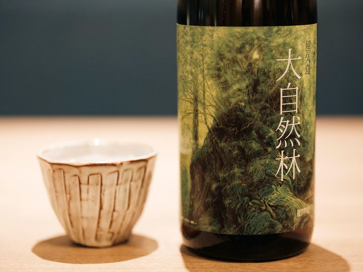 屋久島 大自然林