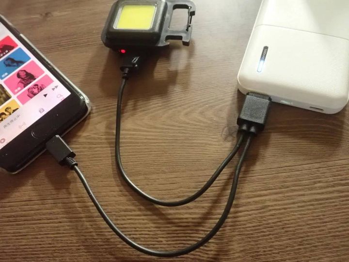 DAISO(ダイソー)：充電ケーブル(USB→ライトニング端子＆Type-C、2.1)