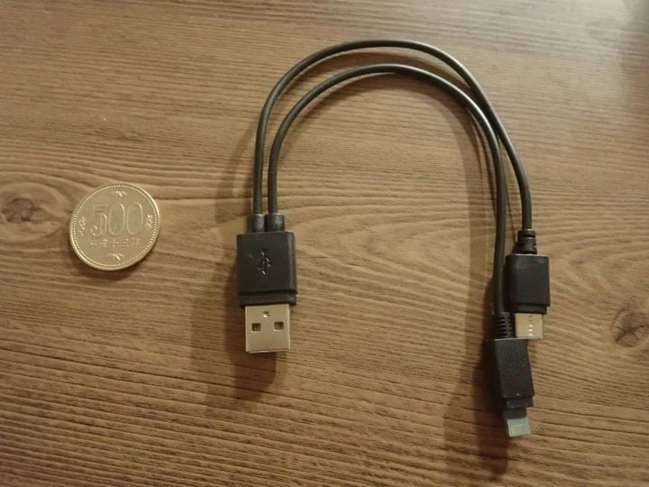 DAISO(ダイソー)：充電ケーブル(USB→ライトニング端子＆Type-C、2.1)