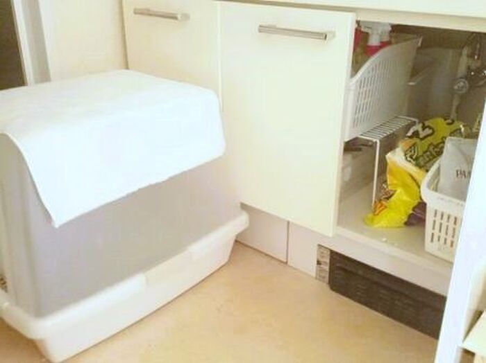 ごちゃついた「洗面台下収納」はこうすれば使い勝手が爆上がり！わが家の