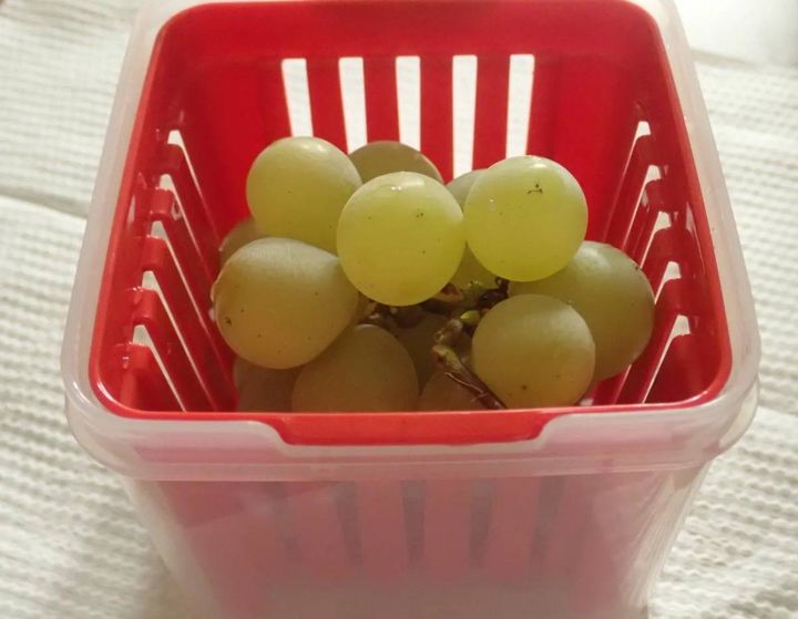 DAISO(ダイソー)：ベジフルキューブコランダー