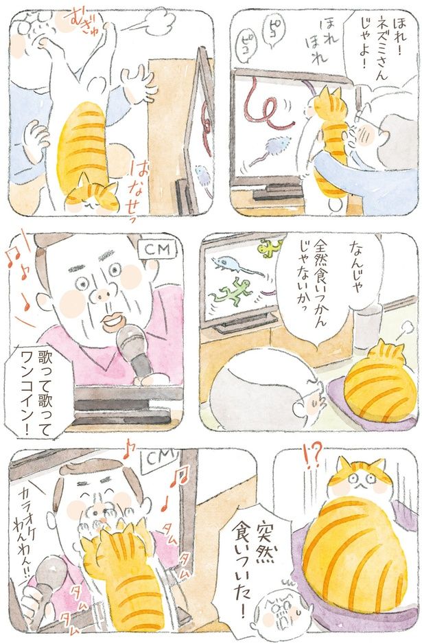 全然食いつかんじゃないかっ （C）ねこまき(ミューズワーク)／KADOKAWA