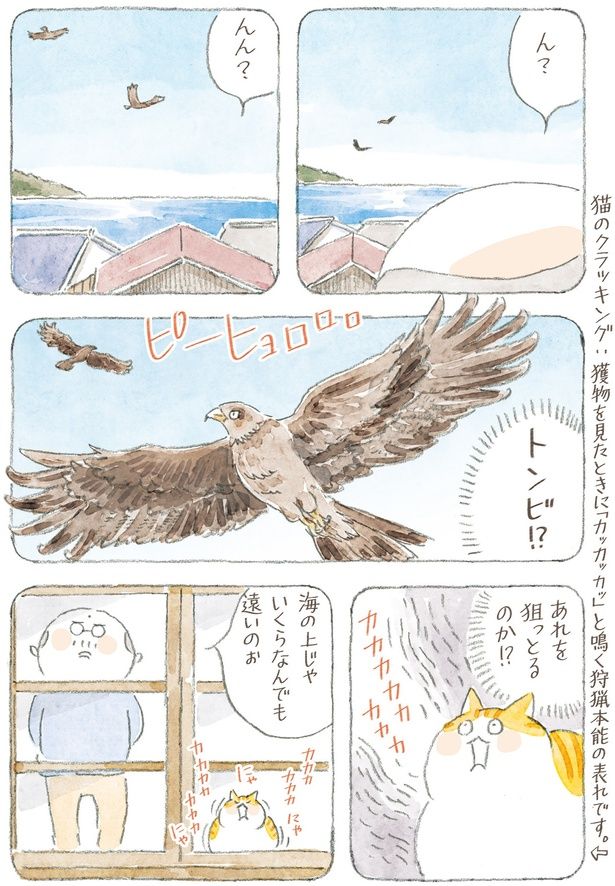 あれを狙っとるのか！？ （C）ねこまき(ミューズワーク)／KADOKAWA