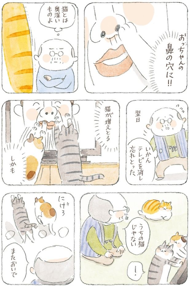 猫とは奥深いものよ （C）ねこまき(ミューズワーク)／KADOKAWA
