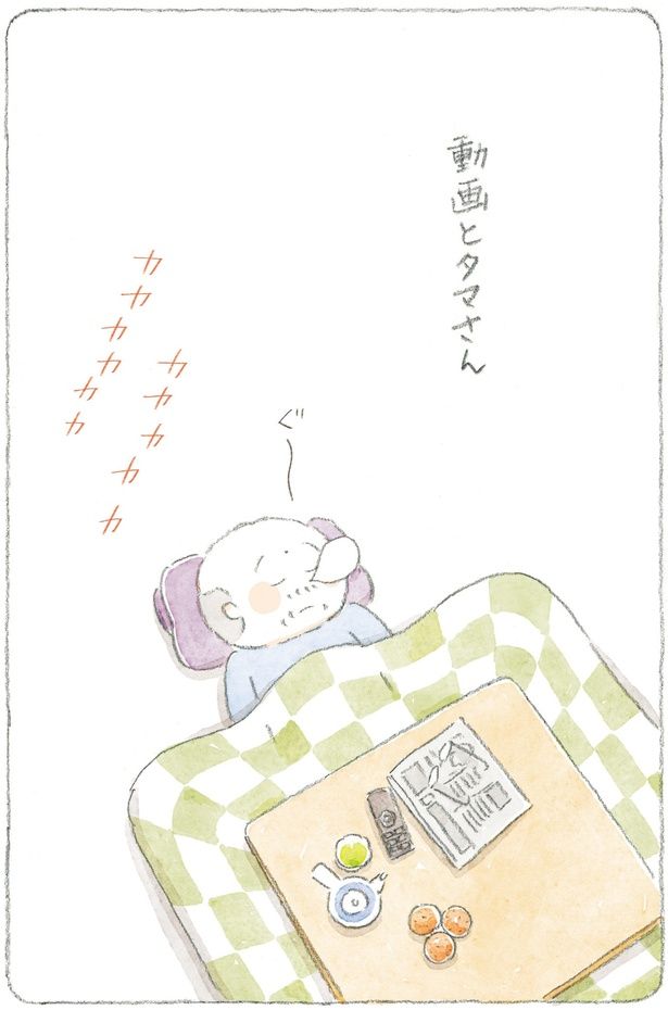 動画とタマさん （C）ねこまき(ミューズワーク)／KADOKAWA