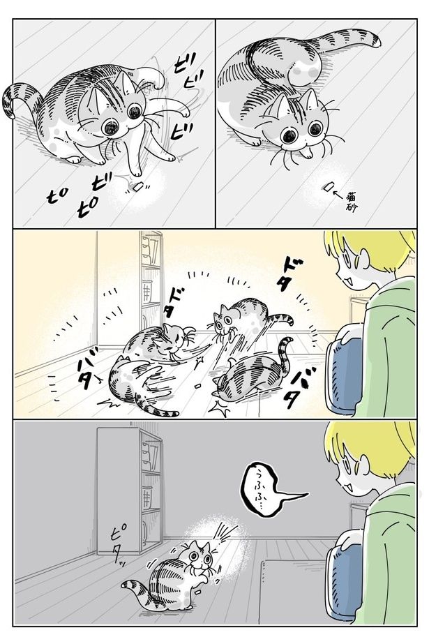 『見てないよ〜』01 画像提供：キュルZ@kyuryuZ