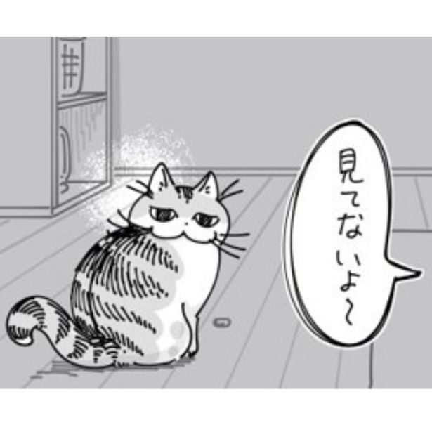 飼い主の視線を感じて遊びを止める猫 画像提供：キュルZ@kyuryuZ