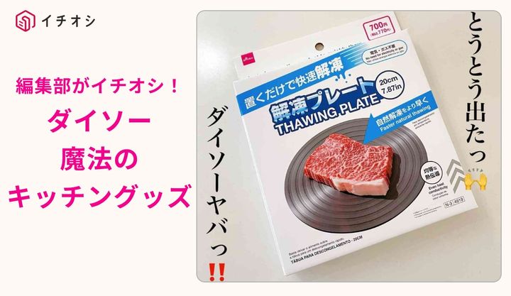 ダイソーの解凍プレート