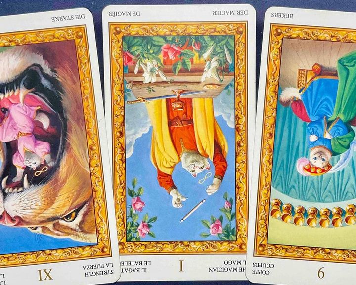 【乙女座】2026年3月23日〜3月29日運勢