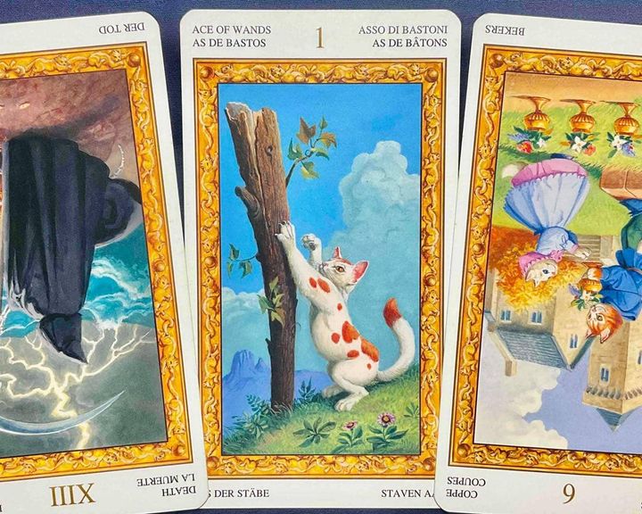 【獅子座】2026年3月23日〜3月29日運勢