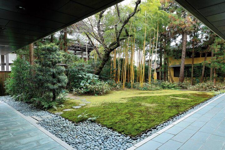 春爛漫の西陣桜さんぽ。京都よりみちこみち 寺之内通＆小川通【前編】