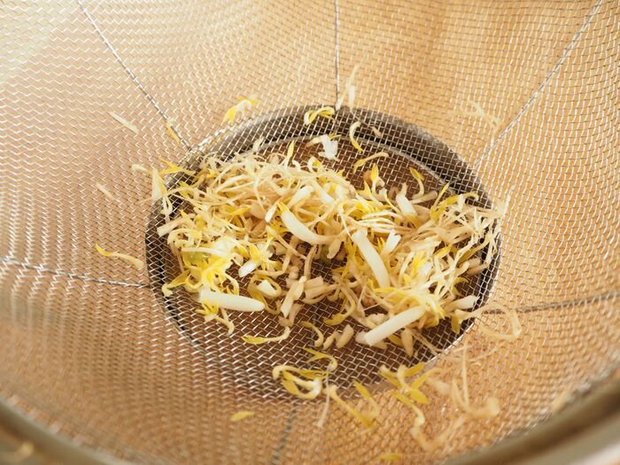 もやし、そのまま使うの待ってーー！！ひげ根「取る」VS「取らない」を比較してみたら→驚きの結果に…