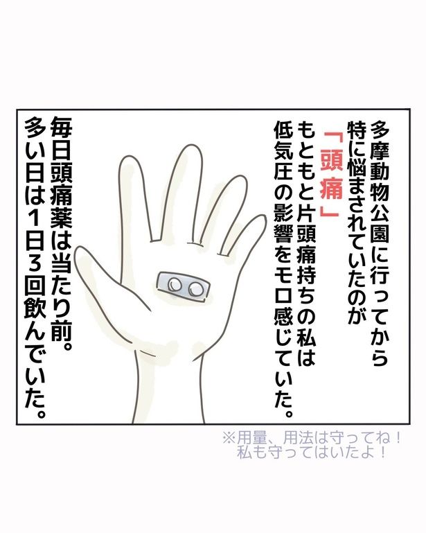 動物園に行ってから頭痛に悩まされていた著者だが…!?『○○病で休職しました～元気すぎは病気のせい？』3-3 画像提供：きあちさん