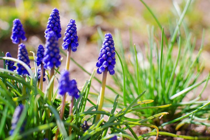 3月23日の「お清め」とは？【365日きょうのお清め】邪気を祓って幸せになる！