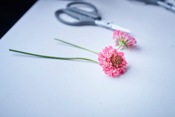 テーブルの上に置かれたハサミと花材