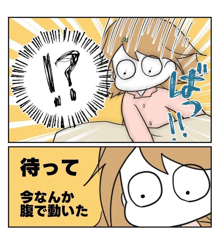 不妊治療で妊娠した私の妊娠記録／kiki